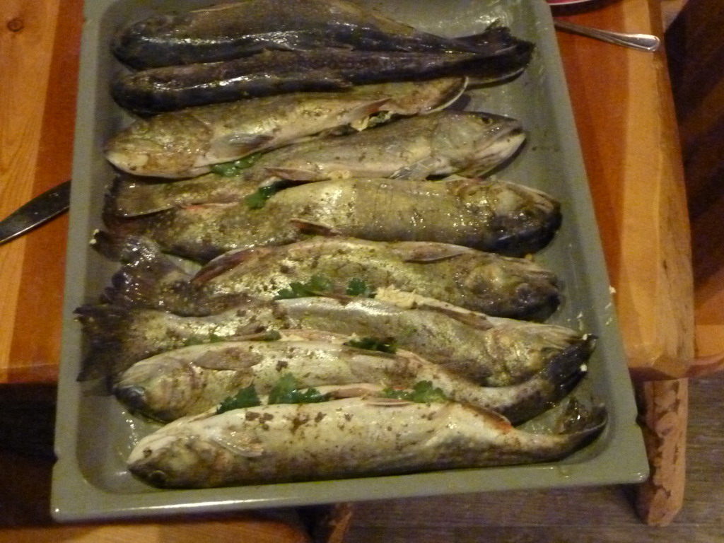 Forellen