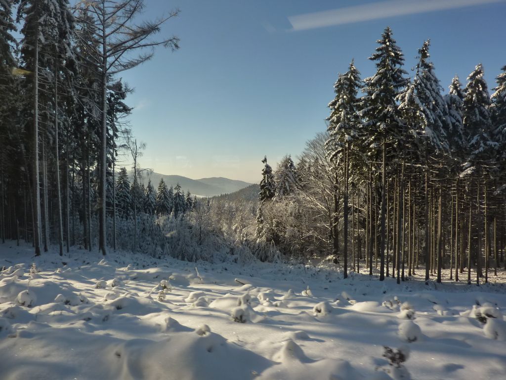 Winter